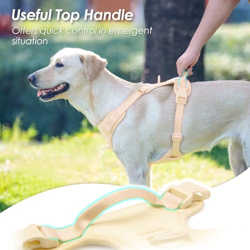No Pull Dog Harness, Puppy Vest with Front Clip for Small Medium Large Sized Dog(Light Yellow,XS) - color: Light Yellow, size: XS(Neck:11.8-16.5", Chest:14.2-19.7")