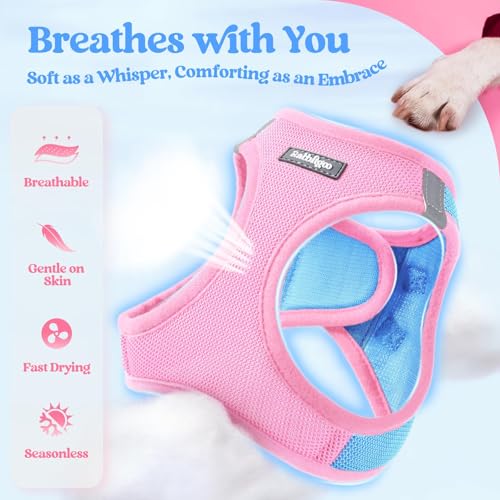 rabbitgoo Dog Harness Small Sized and Leash Set, Step in Soft Light Puppy Vest, Breathable Mesh Pet Harness, Reflective for Safe Easy Walking, Blue & Light Pink XXS - color: Blue & Light Pink, size: Xxs (chest: 12.4 - 14.2")