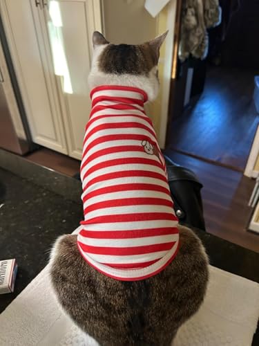 Turtleneck Dog Shirt Cute Doggie Embroidery Super Soft Dog Sweatshirt Stretchy Striped Puppy Pullover for Cats Small Medium Large Dogs (Red Striped, Medium) - color: Red Striped, size: Medium