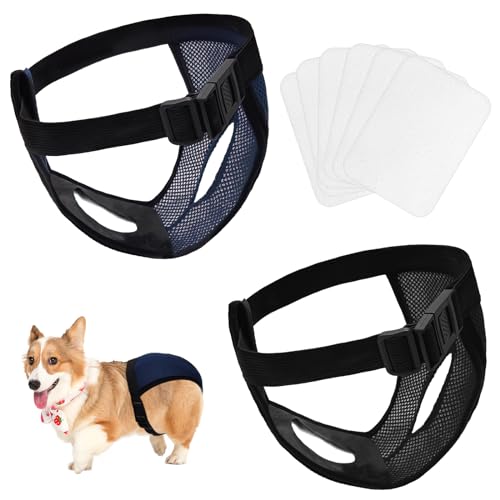 BLMHTWO 2PCS Dog Pants Dog Nappies, Dogs Period Pants with 6PCS Washable Female Dogs Season Pants Adjustable Protective Trousers for Female Puppy in Heat Monthly, Black, Blue
