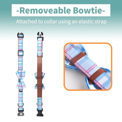 IVY&LANE Dog Collar with Bowtie and Leash Set | Plaid Adjustable Dog Collar | Detachable Bow Tie |5 FT Dog Leash | for Small Medium Large Dogs | Checkered Blue | Small - color: Checkered Blue, size: S
