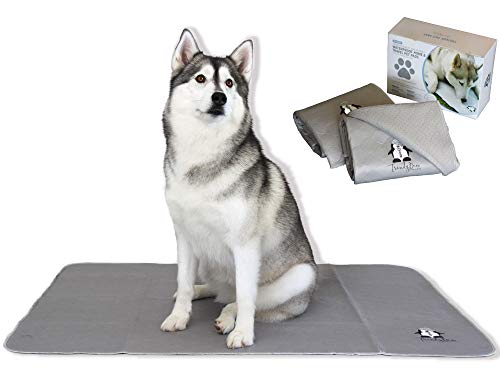 Washable Pee Pads for Dogs XXL (2 Pack), Reusable Puppy Training Pads, Ultra Absorbent & Waterproof Pet Mat for Senior Dogs, Non-Slip, Floor & Furniture Protector (36"x48") by Trendy Den Creations