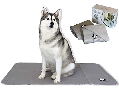 Washable Pee Pads for Dogs XXL (2 Pack), Reusable Puppy Training Pads, Ultra Absorbent & Waterproof Pet Mat for Senior Dogs, Non-Slip, Floor & Furniture Protector (36"x48") by Trendy Den Creations