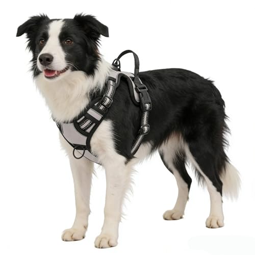 Gray No-Pull Dog Harness with 2 Leash Clips，Soft Padded Vest for Medium Dog, Adjustable Reflective Dog Vest Easy to Put on and Take Off, (Neck: 14"~20", Chest: 21"~27", Gray M) - color: Gray, size: Medium