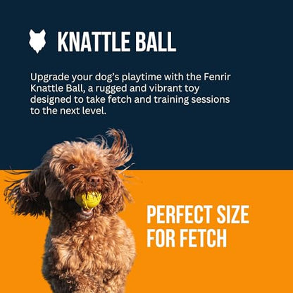 Fenrir - Dog Ball - High Bouncing Yellow Rubber for Fetch & Recall - 2.5 Inch Durable Floating Dog Toy - Water Retrievable Interactive Ball for All Breeds (Medium)