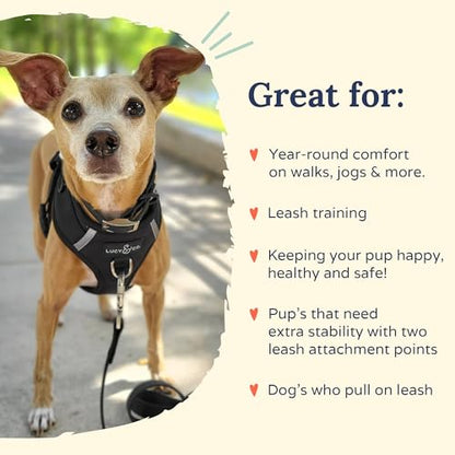 Lucy & Co. The Midnight No-Pull Dog Harness - Size X-Large - Vest to Stop Pulling & Walk Easy - Comfortable Leash Training Product w/Adjustable Chest & Neck Straps - color: The Midnight No-Pull Harness, size: X-Large