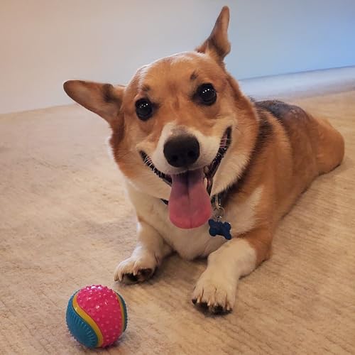SPOT Sensory Ball for Soft Chewers - Stimulates All 5 Senses, Bell & Squeaker Sounds, Raised Nubs Clean Teeth, High Contrast Fetch Toy, Beef Scented, Durable TPR Rubber Ball, 2.5-inch - size: 2.5 inch (Pack of 1)