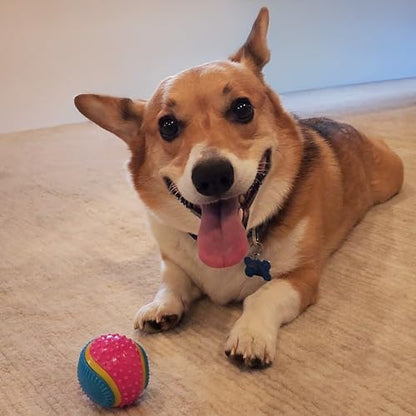 SPOT Sensory Ball for Soft Chewers - Stimulates All 5 Senses, Bell & Squeaker Sounds, Raised Nubs Clean Teeth, High Contrast Fetch Toy, Beef Scented, Durable TPR Rubber Ball, 2.5-inch - size: 2.5 inch (Pack of 1)