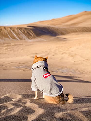 ChoChoCho Pup Dog Hoodie & Sweater - Stylish Streetwear Cat & Puppy Cotton Sweatshirts in Gray - S, M, L - color: Pupreme, size: M (Chest: 13.8''-17'' / Suggest: 4-9 lbs)