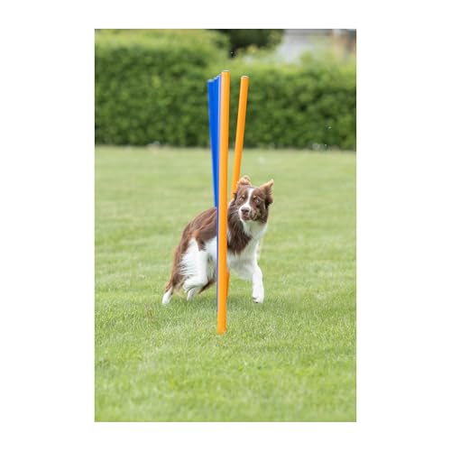 Trixie Dog Agility Slalom Course for All Breeds | 12 Adjustable Weave Poles - Agility at Home, Dog Obstacle Training Equipment