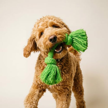 Playology Dog Toys | Dri-Tech Rope Tug of War Dog Toy for Tough Chewers | Sweet Potato Scented Medium Tug Rope Toys for Dogs - size: Medium, style: Sweet Potato