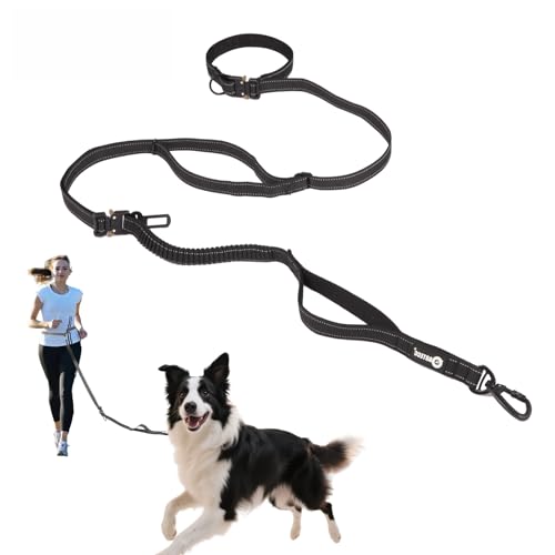Heavy Duty Hands Free Dog Leash with Car Safety Buckle | Up to 200 lbs | Shock Absorbing Bungee for Walking, Jogging and Running Leash | Reflective Padded Handles, 6.3 to 9.7 FT - color: Black
