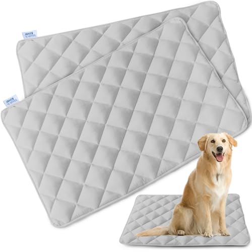 Magik & Kover Dog Crate Pad 2 Pack, Soft Dog Crate Mat with Anti-Slip Bottom, Machine Washable Kennel Pad, Fits 24 Inch, Grey - size: 24 x 18 Inch