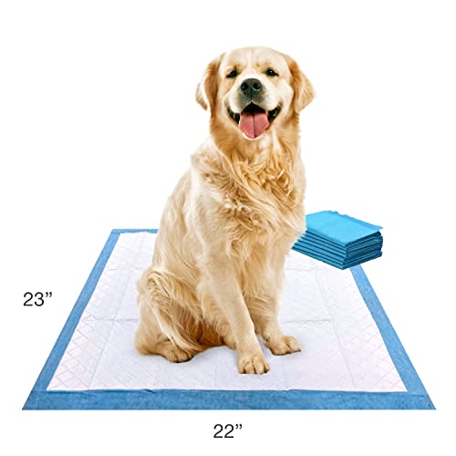 Four Paws Wee-Wee Superior Performance Unscented Puppy Pee Pads for Dogs & Puppies, Quilted Leak-Proof Dog Housebreaking Potty Training Floor Protection, Pet Supplies, 22" x 23", 7 Count - size: 7 Count