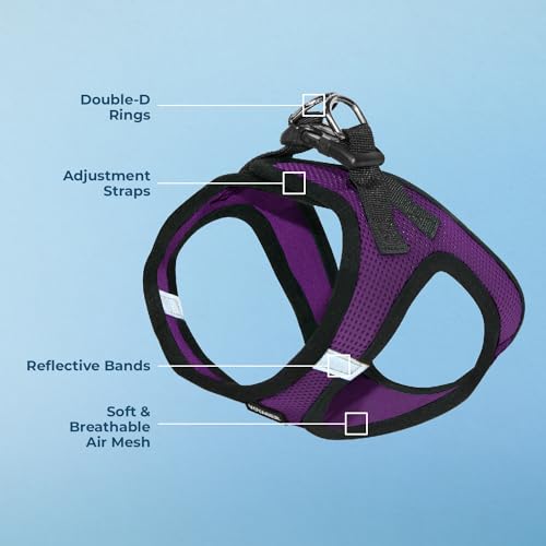 Best Pet Supplies - All Weather Mesh/Plush, Reflective, No Pull Harness for Small, Medium Dogs, Cats - Secure with Hook & Loop Fastener, Buckle, Double D-Rings - Purple/Black Trim, XS - color: Harness (Purple/Black Trim), size: XS (Chest: 13 - 14.5")