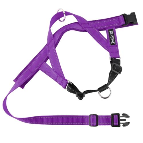 No Pull Dog Harness with Handle, Rear & Front Clip, Adjustable, Easy On/Off, Reflective, Lightweight & Mesh Padded, No Choke. Dog Harness Small Sized Dog (Purple-Black, Small) - color: Purple-Black, size: Small