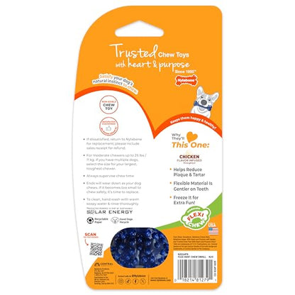 Nylabone Textured Dental Bone Flexi Chew Toy for Dogs, Dog Toys for Moderate Chewers, Chicken Flavor, Small - Up to 25 Ibs, 1 Count - size: Small