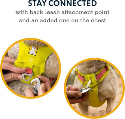 Ruffwear, Hi & Light, Everyday Lightweight Dog Harness, Trail Running, Walking, Hiking, All-Day Wear, Alpenglow Pink, XXX-Small - color: Alpenglow Pink, size: XXX-Small