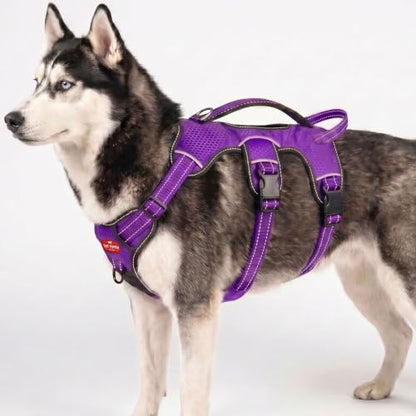 Tuff Pupper Escape Proof No Escape Dog Harness | 5 Point Adjustable Fit Harness for Dogs | Padded Dog Harnesses | Handle Dog Lift Harnesses - color: Purple, size: Large: 27-32 Inch Chest
