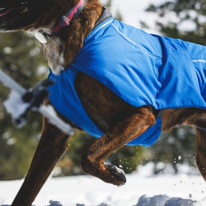Ruffwear, Vert Dog Winter Jacket, Insulated Waterproof Dog Coat with Harness Leash Portal, Breathable Design with Leg Loops, Windproof Extended Coverage, Reflective Trim, Blue Pool, Large - color: Blue Pool, size: Large