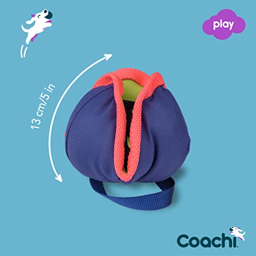 Coachi Chase & Treat - A Fun Enrichment Dog Toy, Fill with Treats for Interactive Play. Good for Motivating, Distance Reward Training & Encouraging Retrieval. Ideal for Agility & Suitable for Puppies - style: Chase & Treat
