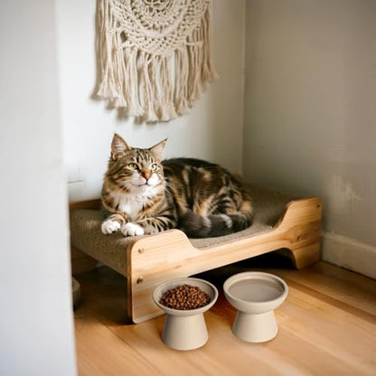 CEEFU 2 Elevated Cat Bowls Extra Wide for Food & Water – Whisker Fatigue, Ceramic Wide Shallow Food Dish, Lead & Cadmium Free, Raised Height for Cats, Pottery Clay (Not Glazed) - color: Pottery Clay