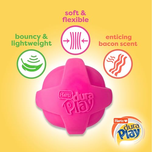 Hartz DuraPlay Bacon Scented Dog Toys, Large 1 Count, Colors May Vary (Pack of 2) - size: 2 Count, style: Large Ball