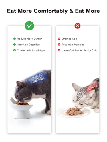 ABRUTY Cat Food Bowl, 5 OZ Ceramic Elevated Kitten Water Bowl, 15° Tilted Raised Pet Feeder, Anti Vomiting and Whisker Friendly Dishes for Fat Faced, Cat, Kitten, Small Dog - color: White Cat, size: 2 Pack