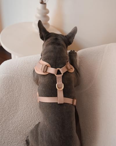 Premium No-Pull Dog Harness Soft Neoprene & Breathable Mesh Vest with Front & Back Clip D-Rings Adjustable Lightweight Walking Harness for Puppies, Small & Medium Dogs (Beige, L) - color: Beige, size: L: Neck=16.5-22''/Chest=22.4-32.7''
