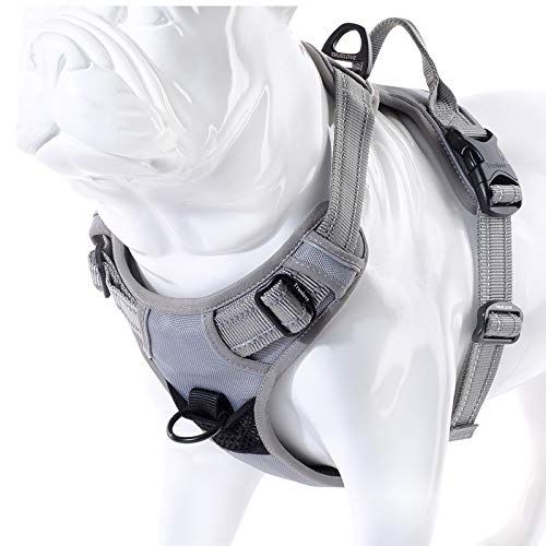 JUXZH Truelove No Pull Dog Harness with Easy Control Handle and 2 Leash Attachments,Reflective Adjustable Pet Vest - color: Gray, size: Small (Pack of 1)