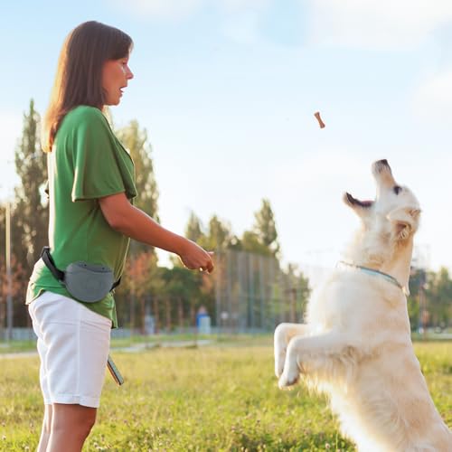 Dog Treat Pouch - Premium Silicone - Upgrade 4 Strong Magnets Enhanced Magnetic Closure, Adjustable Waist Belt - Ideal for Puppy Training and Outdoor Walks - Grey - color: Grey