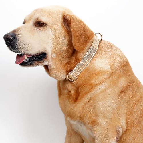 Glare Gold Personalized Dog Collars Leather and Nylon Thicken Design Engraved Heavy Duty Dog Collar with Name Plate Adjustable with Quick Release Metal Buckle for Small Medium Large Dogs,M - color: Gold - Personalized, size: M-(neck adjustable 12.6-19.3"