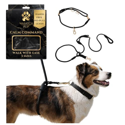 Hands-Free No-Pull Dog Leash | Durable Adjustable Training Lead for Dogs | Calm Command Outdoor Activity Leash for Active Pet Lifestyle Breeds | Ergonomic Handle - Medium (25-60 lbs) - size: Medium (25-60lbs)