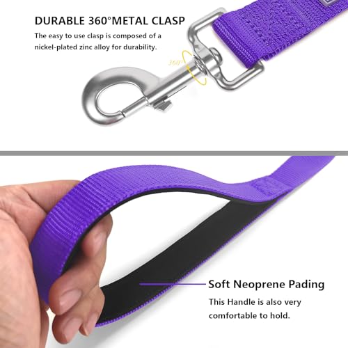 Basic Dog Leashes 6 FT Padded Handle Nylon Dogs Leashes for Small Dogs Purple - color: Purple, size: Small : 5/8" x 6 FT