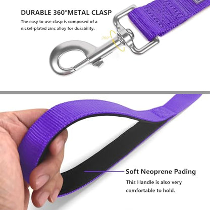 Basic Dog Leashes 6 FT Padded Handle Nylon Dogs Leashes for Small Dogs Purple - color: Purple, size: Small : 5/8" x 6 FT