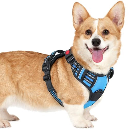 rabbitgoo Dog Harness Small Sized, No Pull Pet Harness with 3 Buckles, Adjustable Soft Padded Vest with Control Handle, Walking Reflective Pet Vest for Small Dogs, Sky Blue, S - color: Sky Blue, size: Small