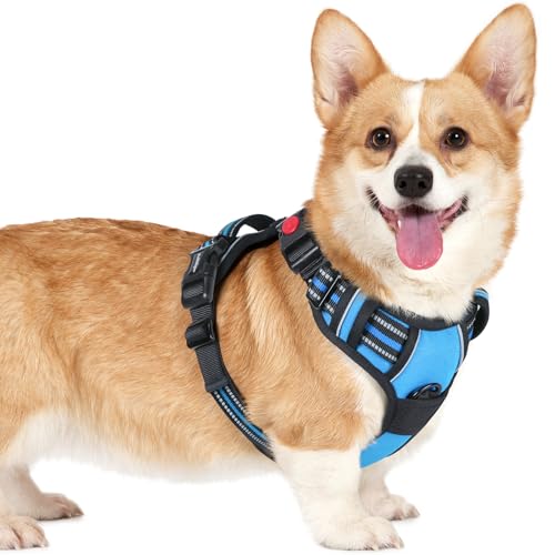rabbitgoo Dog Harness Small Sized, No Pull Pet Harness with 3 Buckles, Adjustable Soft Padded Vest with Control Handle, Walking Reflective Pet Vest for Small Dogs, Sky Blue, S - color: Sky Blue, size: Small
