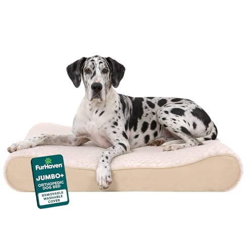 FurHaven Orthopedic Dog Bed for Large Dogs, Luxe Lounger Contour Mattress with Solid Orthopedic Foam Slab for Joint Support, Removable Washable Cover - Jumbo Plus XXL, Plush Suede, Cream - color: Cream, size: Jumbo Plus/XXL