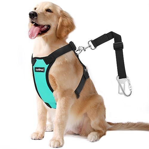 VavoPaw Dog Seat Belt, Safety Vest Dog Car Harness with Adjustable Buckle Dog Seat Belt for Vehicle Nylon Pet Safety Seat Belts Heavy Duty(XXL, Blue) - color: Blue, size: XXL (Chest: 30.7-51.2", Neck: 16.1-26.4")