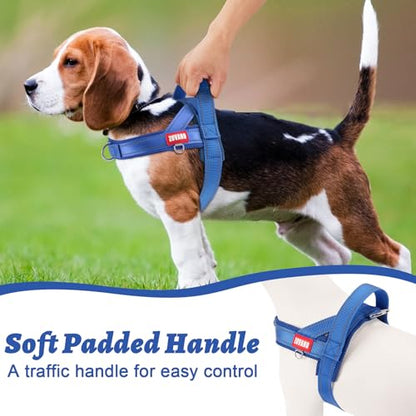 Lightweight Dog Harness for Small Dogs - No Choke Escape-Proof Soft Mesh Reflective Vest Harness with Padded Handle - Adjustable Chest, Lockable Quick Release Buckle Harness, Blue, S - color: Blue, size: Small