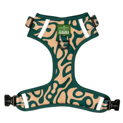 Lucy & Co. x Parks Project Geyser No-Pull Dog Harness, Adjustable Front Clip Harness with Comfort Padding, X-Large - color: Geyser, size: X-Large