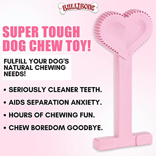 Bullibone Nylon Dog Chew Toy for Aggressive Chewers - Dental Hygiene Bone with Peppermint Flavor, Durable Tough Chew Toys for Small Dogs, Indestructible Dog Bone - Single - size: Small - Single
