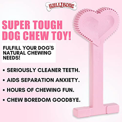 Bullibone Nylon Dog Chew Toy for Aggressive Chewers - Dental Hygiene Bone with Peppermint Flavor, Durable Tough Chew Toys for Large Dogs, Indestructible Dog Bone - Single - size: Large - Single