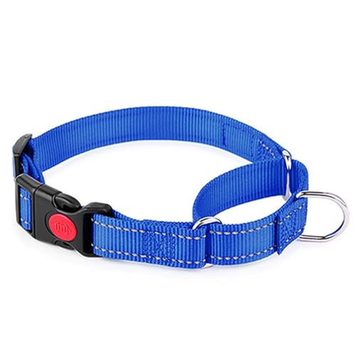 Martingale Collar for Dogs with Buckle,Blue S - color: Blue, size: S(Neck 10-13.5")