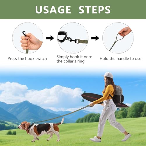 Reflective 6 FT Dog Leash, Premium Traditional Style Puppy Leash with Easy to Use Collar Hook for Small, Medium, and Large Breed Puppies (Green, 3/4 in x 6 ft) - color: Green, size: 3/4" x 6ft, 1 Handle