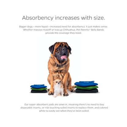 Pet Parents® Washable Belly Bands for Male Dogs (3pack) + Extendrs® of Durable Dog Diapers Male, Premium Male Dog Diapers & Dog Wraps (Small, Gentlemen) - color: Gentlemen, size: Small (13-16")
