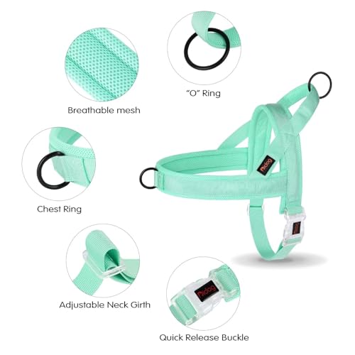 Didog No Pull Dog Harness with Breathable Mesh Padded, Quick Fit & Easy on Dog Vest Harness for Small Medium Large Dogs Training Walking(Green,XS) - color: Green, size: XS:Chest 15-19", Fit 8-17 lbs