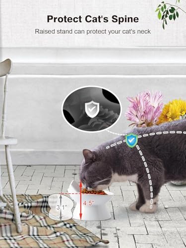 ABRUTY Cat Food Bowl, 5 OZ Ceramic Elevated Kitten Water Bowl, 15° Tilted Raised Pet Feeder, Anti Vomiting and Whisker Friendly Dishes for Fat Faced, Cat, Kitten, Small Dog - color: White Cat, size: 1 Pack