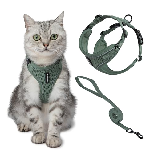 Voyager Escape-Proof Step-in Lock Cat Harness & 5ft Neoprene-Handle Leash Set All-Weather Mesh with Reflective Stitching for Small to Large Cats by Best Pet Supplies, Moss Green (327), XXS - color: Moss Green, size: XXS (Chest: 11.5 - 14")