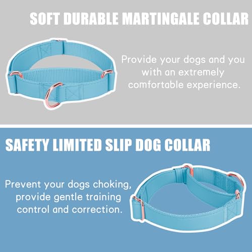 Soft Leather Martingale Dog Collar - Adjustable Rose Gold Limited Slip Collars [Easy to Clean], Stylish Durable Heavy Duty Nylon No Pull Training Collar for Small Medium Large Dogs XS Light Blue - color: Light Blue, size: XS (Neck 8"-11", Width 3/5")